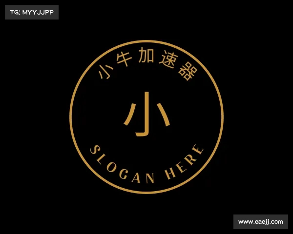 关于小牛加速器